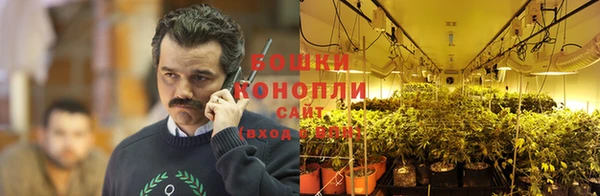 ГАЛЛЮЦИНОГЕННЫЕ ГРИБЫ Абинск