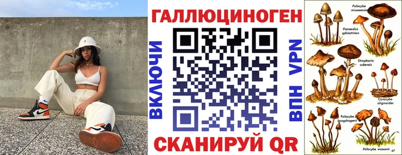 Псилоцибиновые грибы Cubensis  Таштагол 